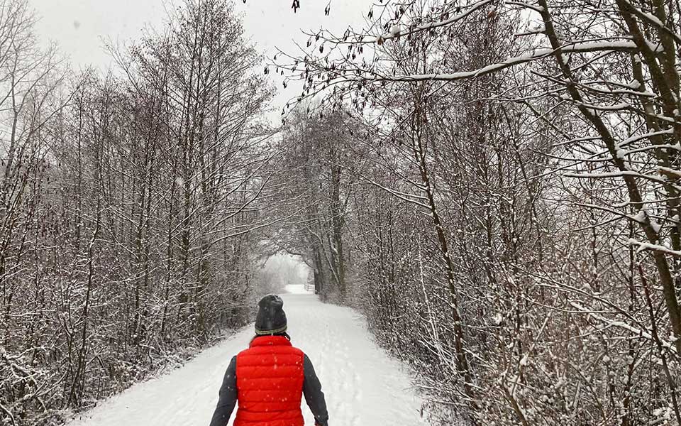 Hiker walking down trail with snow covering trail and trees